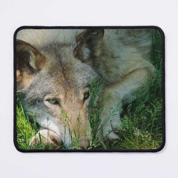 Artikelvorschau, Timber Wolf entworfen und verkauft von WolvesOnly.