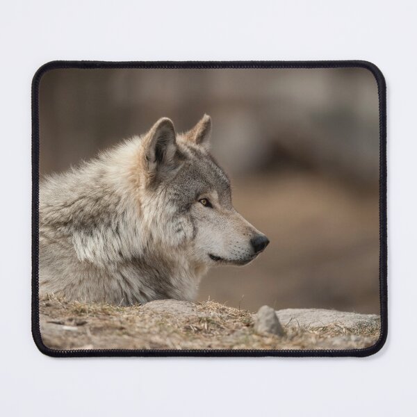 Item preview, Timber Wolf designed and sold by WolvesOnly.