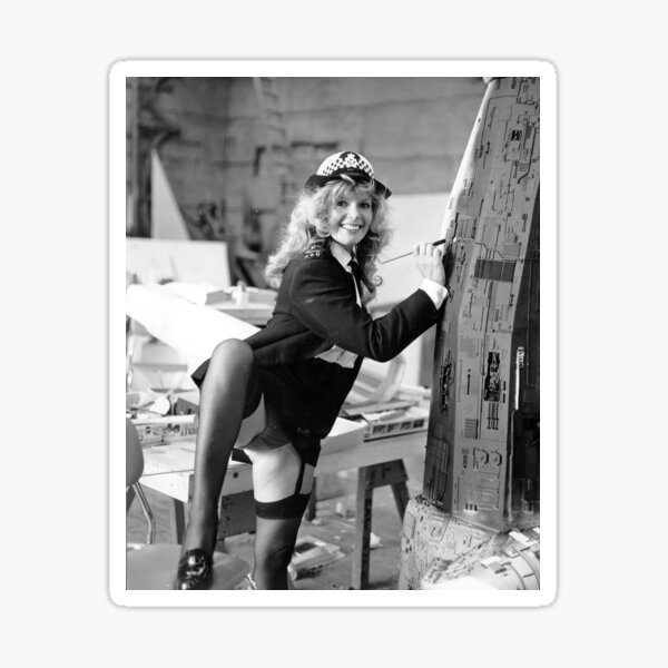 mary millington