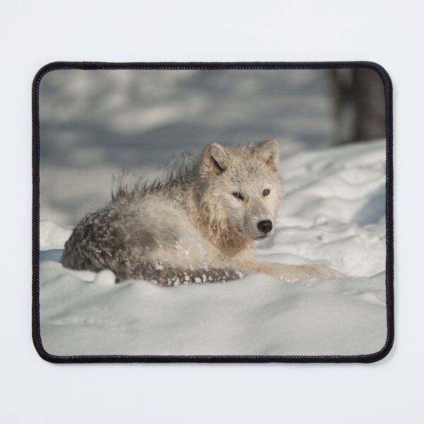 Item preview, Arctic Wolf designed and sold by WolvesOnly.