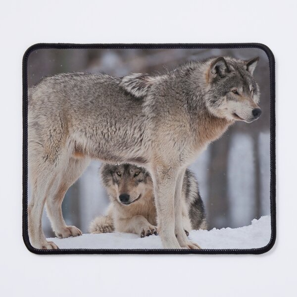 Item preview, Timber Wolves designed and sold by WolvesOnly.