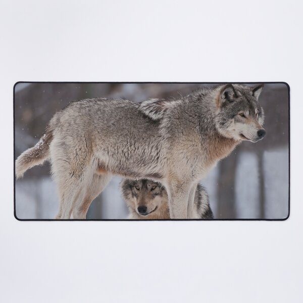 Item preview, Timber Wolves designed and sold by WolvesOnly.
