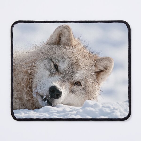Item preview, Sleepy TIme designed and sold by WolvesOnly.