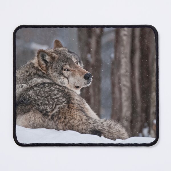 Item preview, Timber Wolf designed and sold by WolvesOnly.