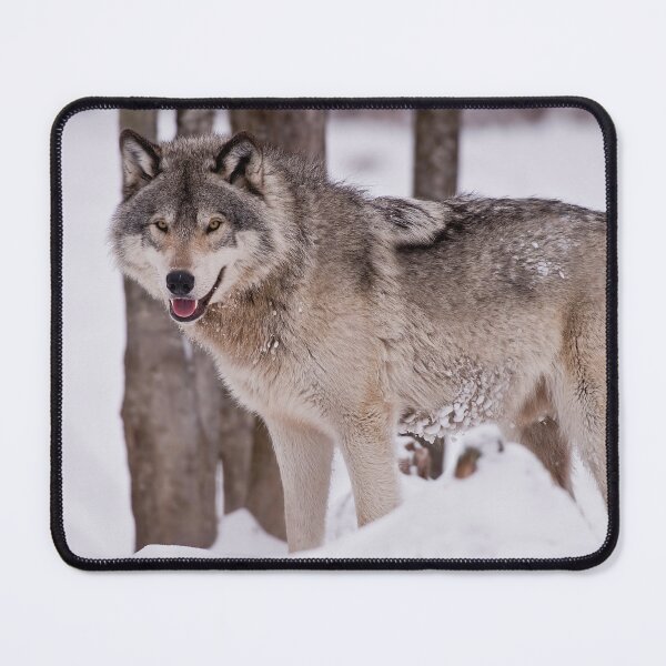 Item preview, Timber Wolf designed and sold by WolvesOnly.