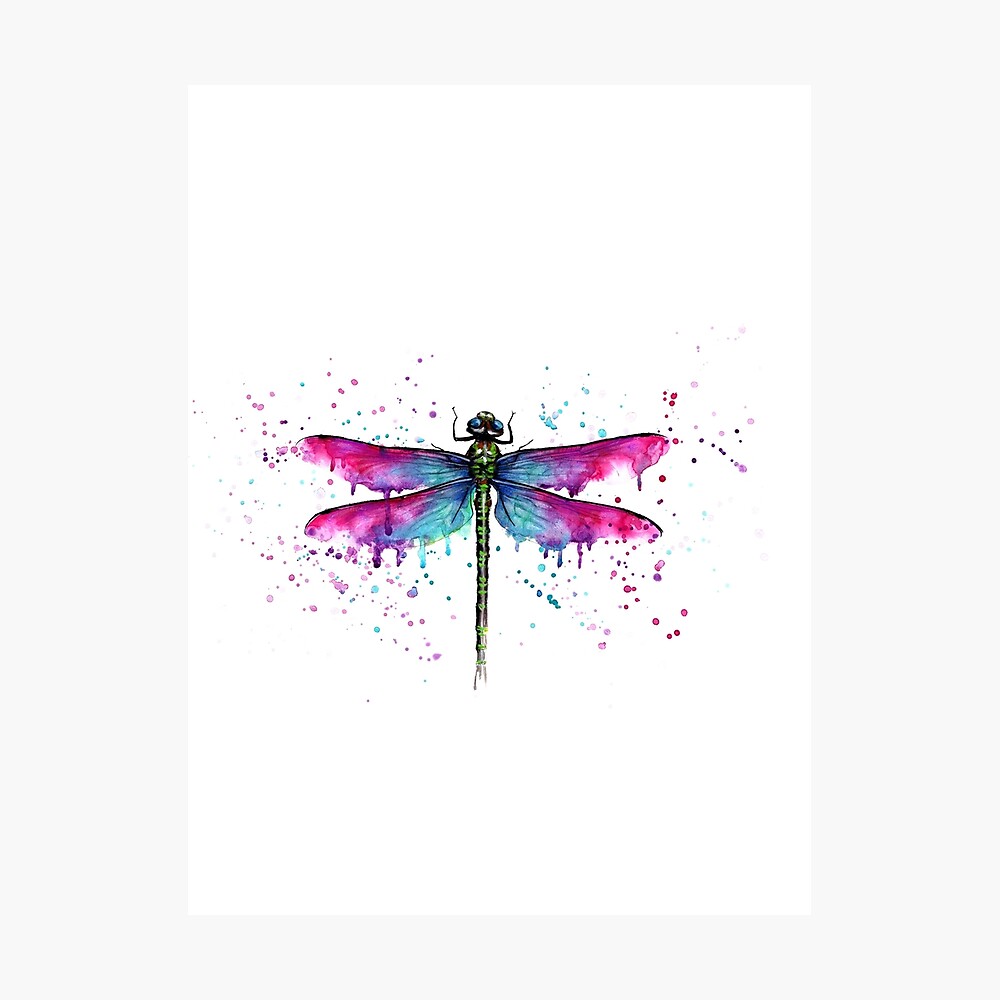 Large Dragonfly Temporary Tattoo TO00036502  eBay