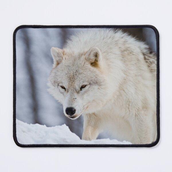 Item preview, Arctic Wolf designed and sold by WolvesOnly.