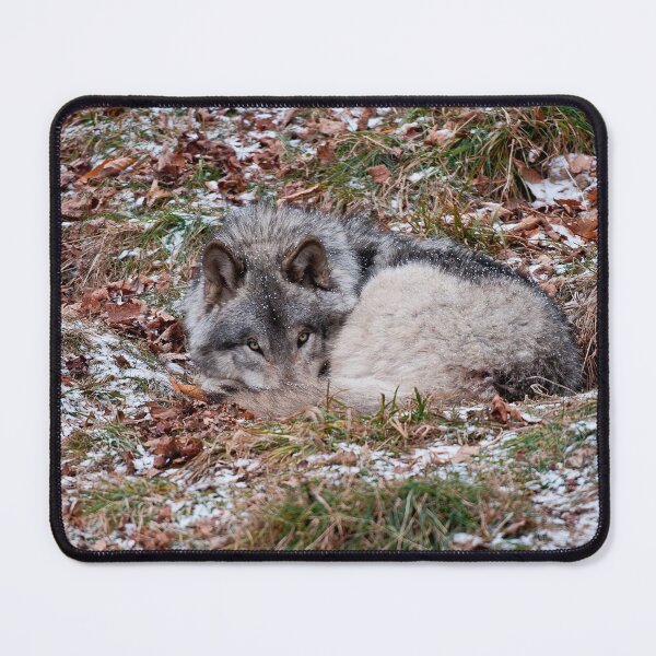 Item preview, Timber Wolf designed and sold by WolvesOnly.