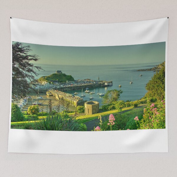 Item preview, Ilfracombe Harbour Summer  designed and sold by hawkie.