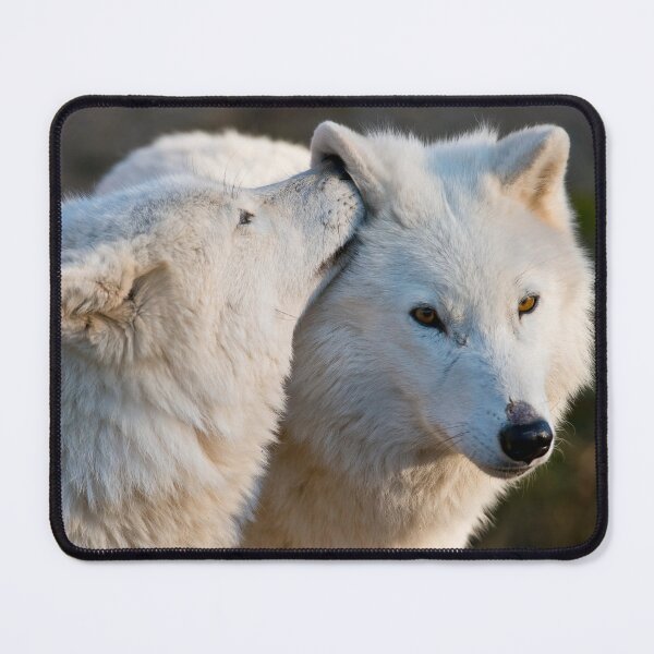 Item preview, I have A Secret designed and sold by WolvesOnly.