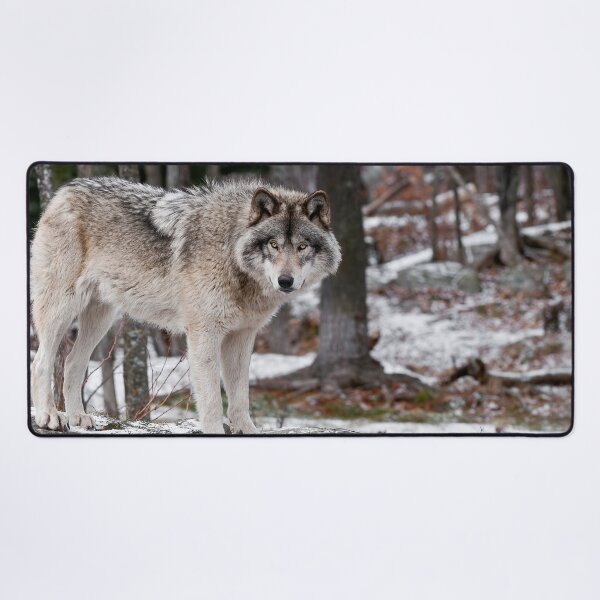 Artikelvorschau, Holzwolf entworfen und verkauft von WolvesOnly.
