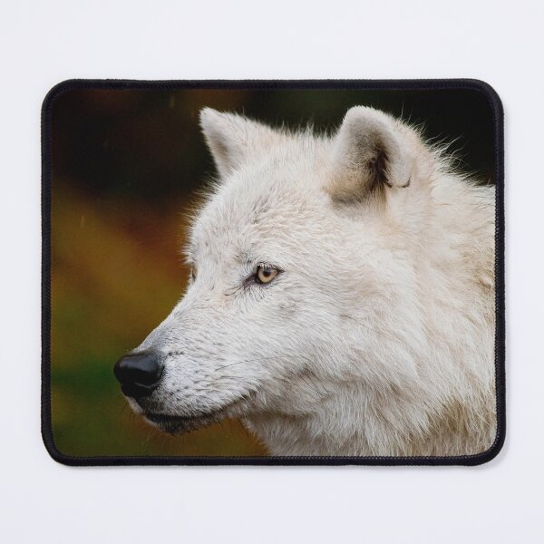 Item preview, Arctic Wolf designed and sold by WolvesOnly.