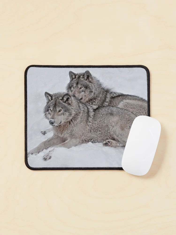 Thumbnail 1 of 5, Mouse Pad, Timber Wolves designed and sold by WolvesOnly.
