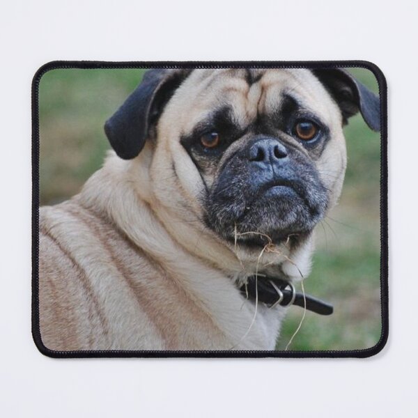 Item preview, Pug Dog designed and sold by imphavok.
