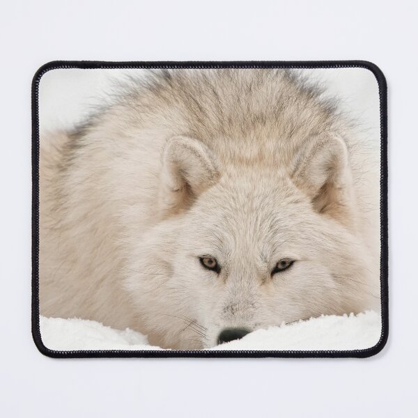 Item preview, Arctic Wolf designed and sold by WolvesOnly.