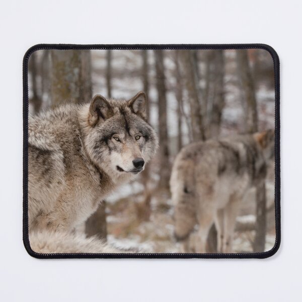Item preview, Timber Wolf designed and sold by WolvesOnly.