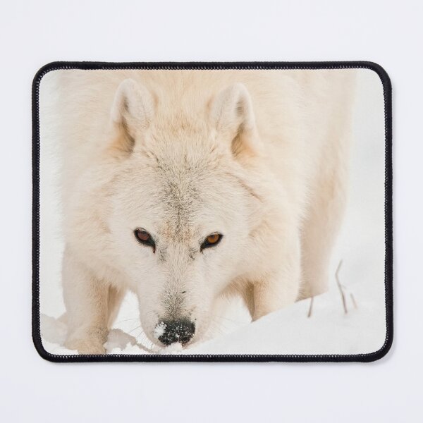 Item preview, Arctic Wolf designed and sold by WolvesOnly.