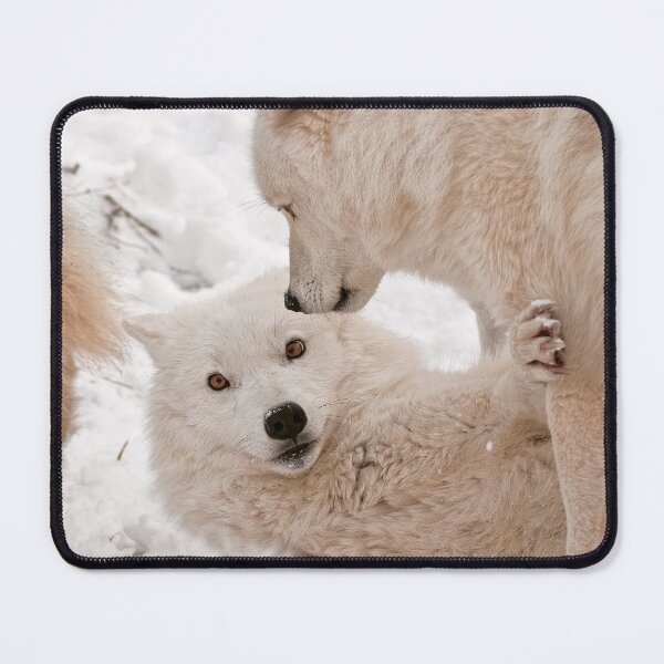 Item preview, Arctic Wolves designed and sold by WolvesOnly.