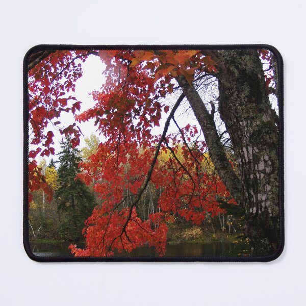 Item preview, Red Autumn Leaves designed and sold by imphavok.
