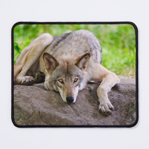 Item preview, Taking A Break designed and sold by WolvesOnly.