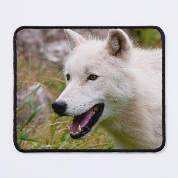 Item preview, Arctic Wolf designed and sold by WolvesOnly.