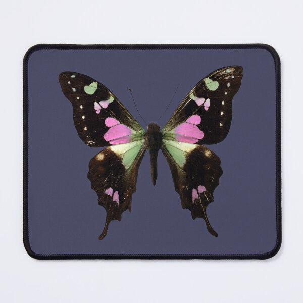 Artikelvorschau, Schwarzer Schmetterling entworfen und verkauft von SeaOfColors.