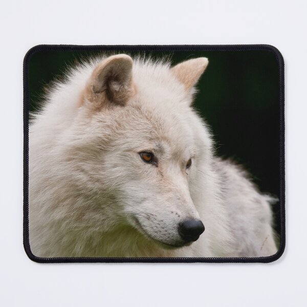 Item preview, Arctic Wolf designed and sold by WolvesOnly.