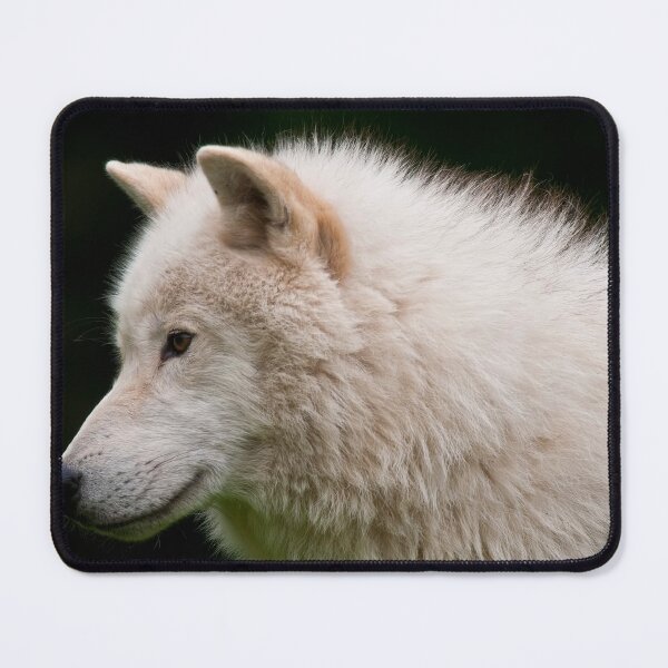 Item preview, Arctic Wolf designed and sold by WolvesOnly.