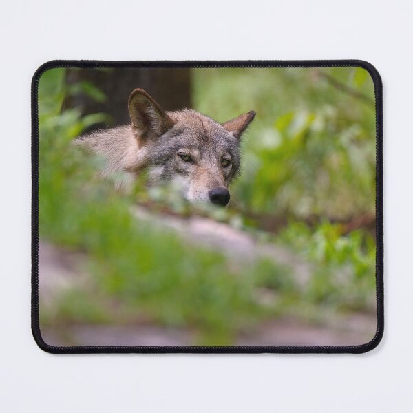 Item preview, Timber Wolf designed and sold by WolvesOnly.
