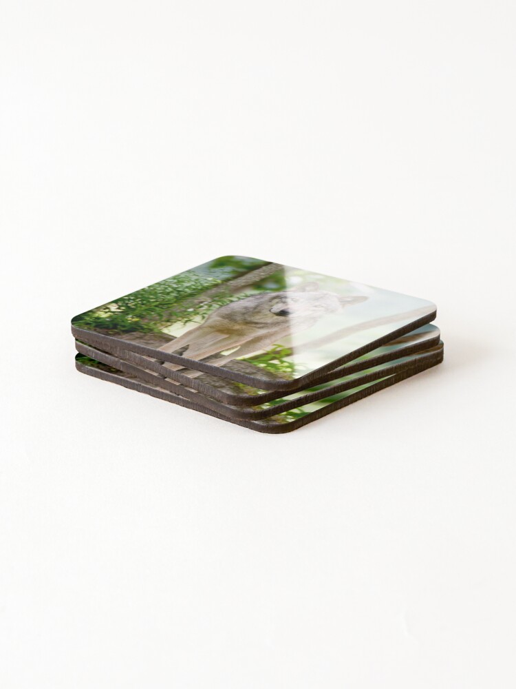 Thumbnail 4 of 5, Coasters (Set of 4), Timber Wolf designed and sold by WolvesOnly.