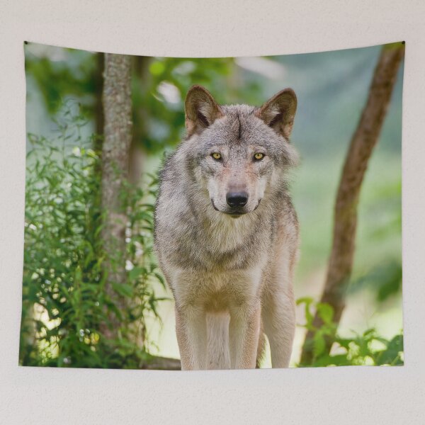 Item preview, Timber Wolf designed and sold by WolvesOnly.