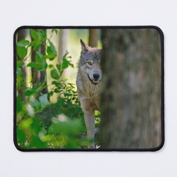 Artikelvorschau, Timber Wolf entworfen und verkauft von WolvesOnly.