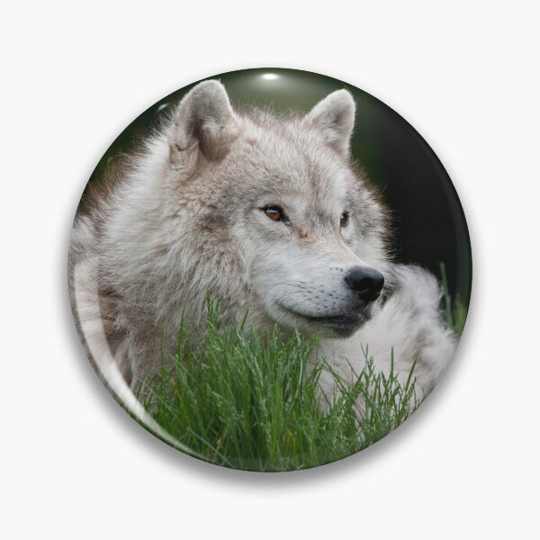 Artikelvorschau, Arctic Wolf entworfen und verkauft von WolvesOnly.