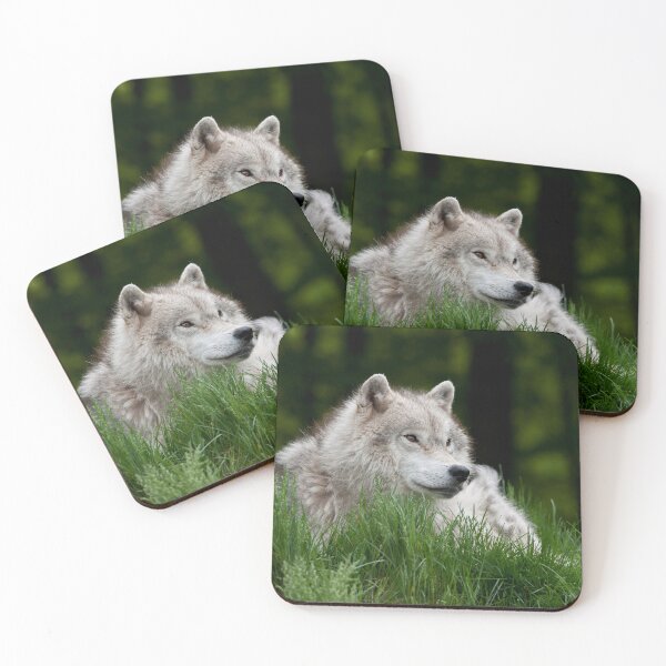 Artikelvorschau, Arctic Wolf entworfen und verkauft von WolvesOnly.