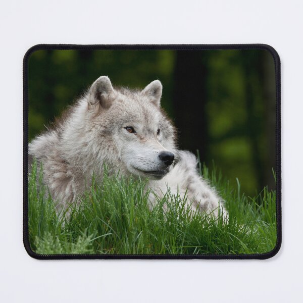 Item preview, Arctic Wolf designed and sold by WolvesOnly.