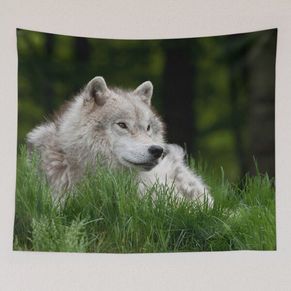 Item preview, Arctic Wolf designed and sold by WolvesOnly.