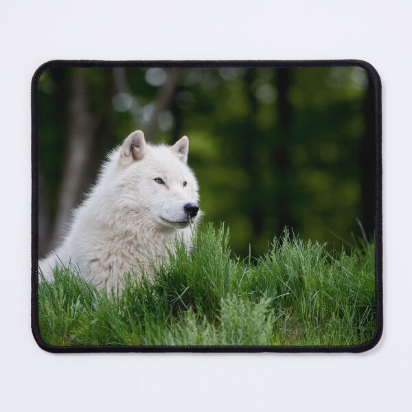 Item preview, Arctic Wolf designed and sold by WolvesOnly.