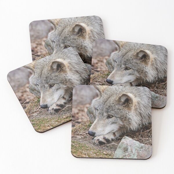 Item preview, Timber Wolf designed and sold by WolvesOnly.