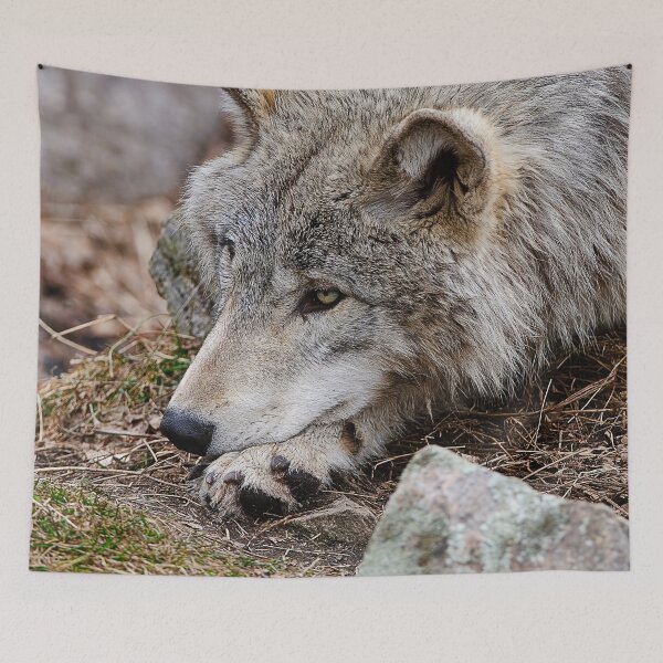 Item preview, Timber Wolf designed and sold by WolvesOnly.