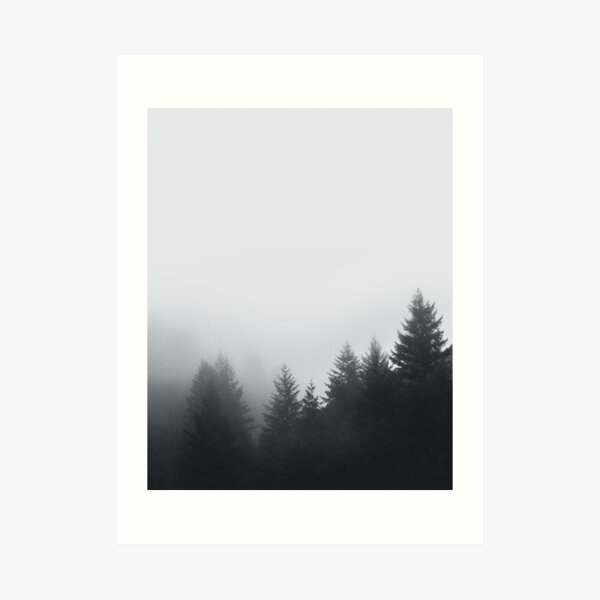 Foggy Forest Wall Art Redbubble