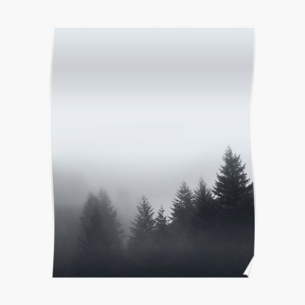 Foggy Forest Posters Redbubble