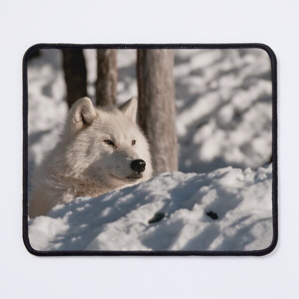 Item preview, Arctic Wolf designed and sold by WolvesOnly.