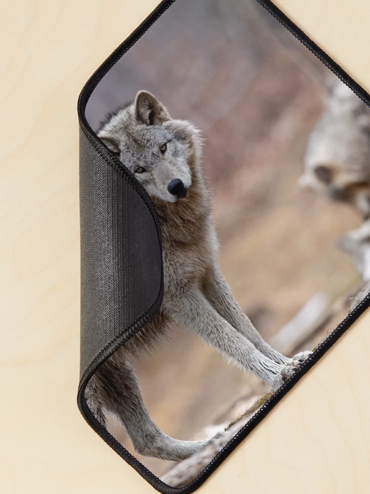 Thumbnail 2 of 5, Mouse Pad, Timber Wolves designed and sold by WolvesOnly.