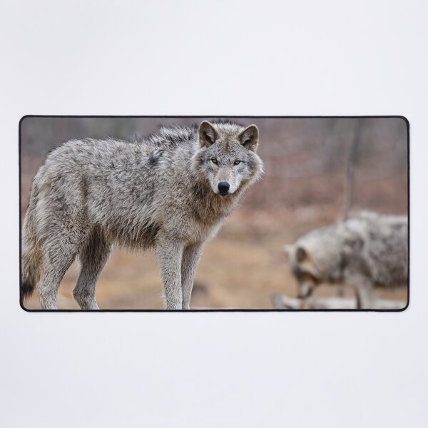 Item preview, Timber Wolves designed and sold by WolvesOnly.