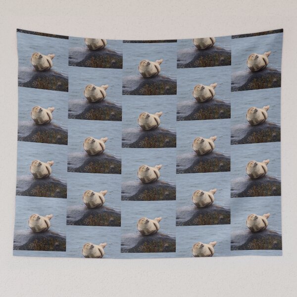 Item preview, Cat Nap designed and sold by JoeGeraci.