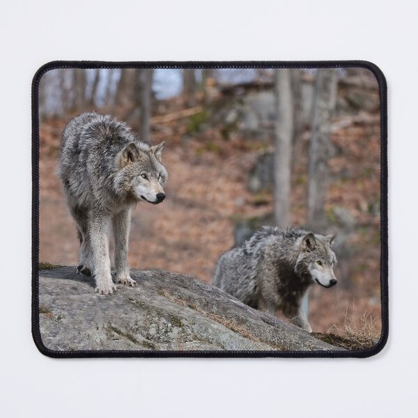 Item preview, Timber Wolves designed and sold by WolvesOnly.