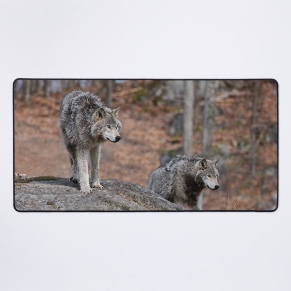 Item preview, Timber Wolves designed and sold by WolvesOnly.