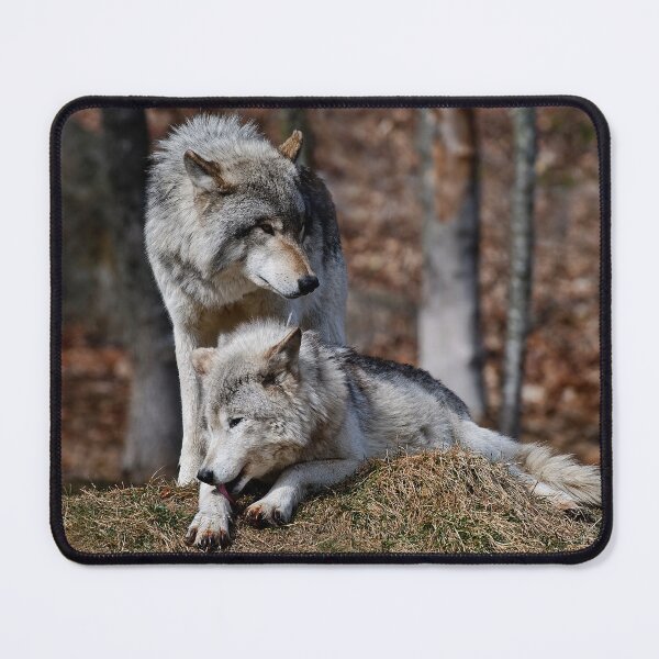 Item preview, Timber Wolves designed and sold by WolvesOnly.