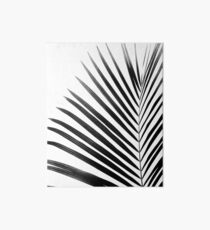 PALM LEAF Black & White Art Board Print