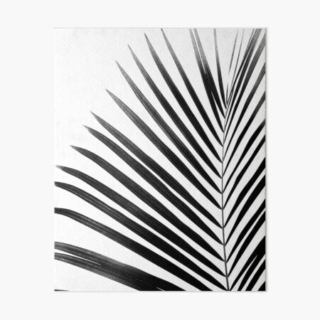 PALM LEAF Black & White Art Board Print